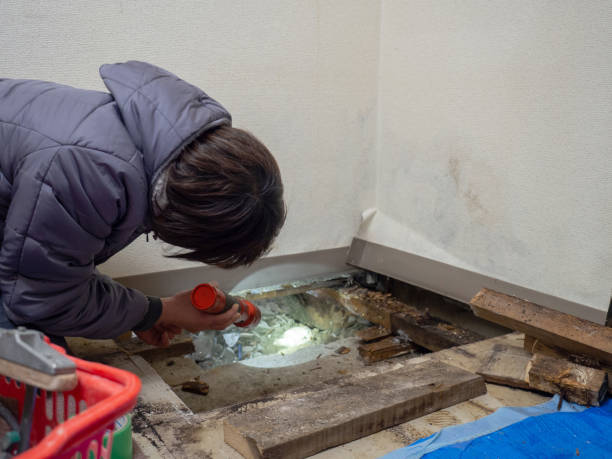 Best Asbestos and Lead Testing During Mold Inspection  in Craig, AK