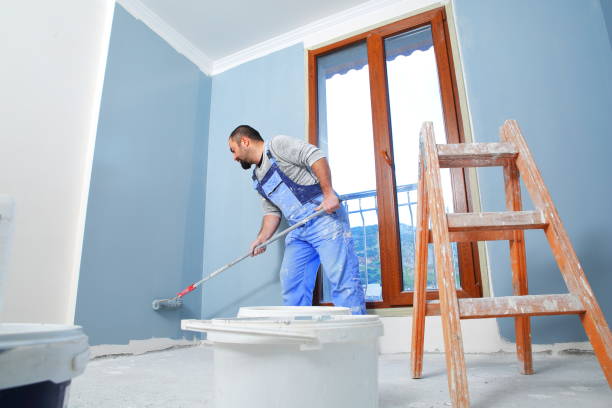 Best Industrial Mold Remediation  in Craig, AK