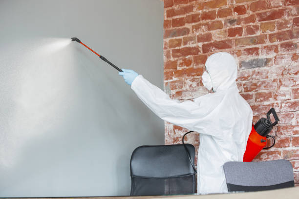 Best Biohazard Mold Removal  in Craig, AK