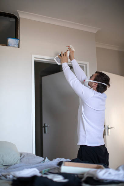 Best Mold Documentation for Insurance Claims  in Craig, AK