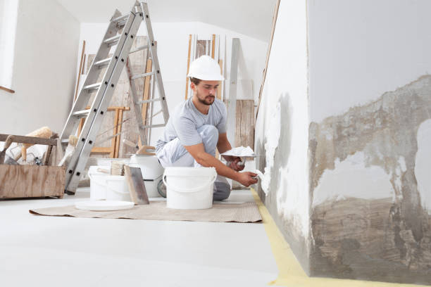 Environmental Consulting for Mold Prevention in Craig, AK