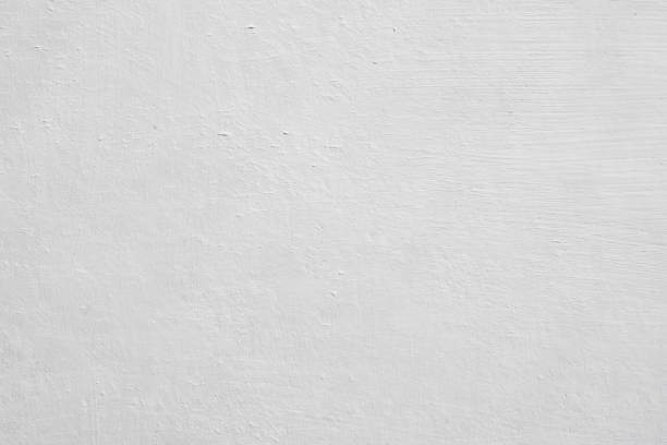 Best Basement Mold Removal  in Craig, AK