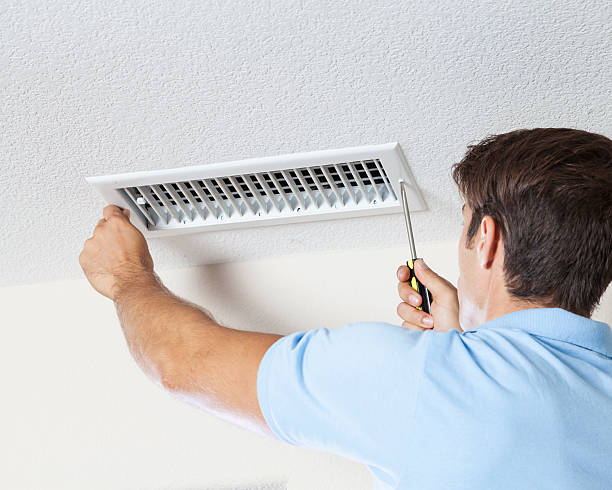 Best Attic Mold Removal  in Craig, AK