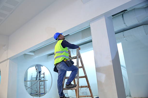 Best Forensic Mold Investigation  in Craig, AK