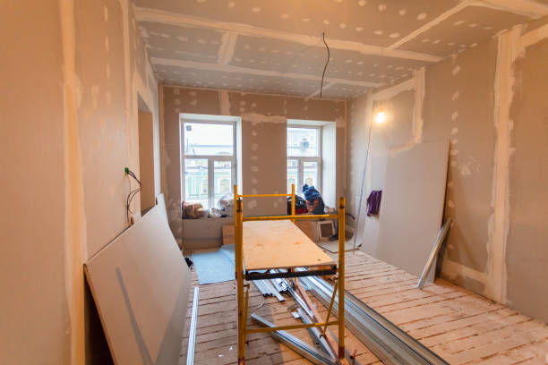 Reliable Craig, AK Mold Removal Solutions